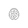 brain_v4